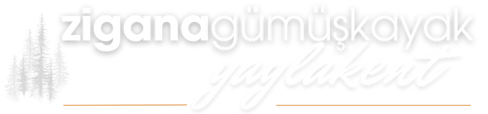 Zigana Gümüşkayak Yaylakent Hotel & Bungalow